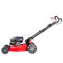 Газонокосилка бензиновая самоходная с двигателем FUBAG Honda FPL 56 SMH в Новороссийске фото